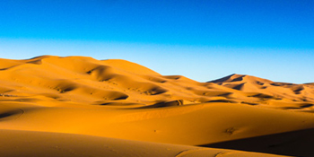 Merzouga desert