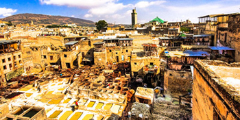 Fes Tanneries