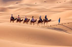 erg-chebbi dunes merzouga