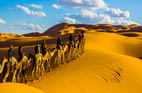merzouga camel trek